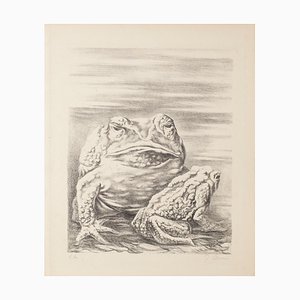 Litografía Fabrizio Clerici - The Frogs - 1940 Ca