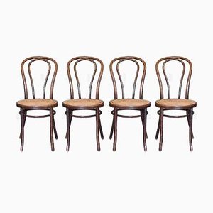 Bentwood No. 18 Chairs from ZPM Radomsko, 1960s, Set of 4