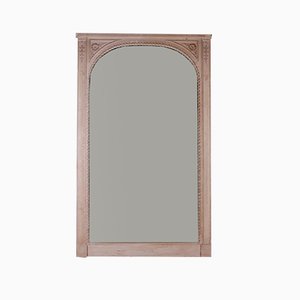 French Chateau Mirror, 1860s