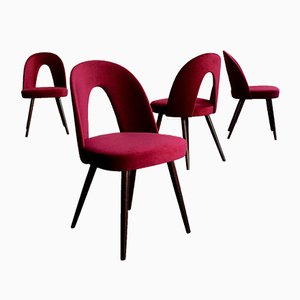 Velvet Dining Chairs by Antonín Šuman for Mier Topoľčany, 1960s, Set of 4