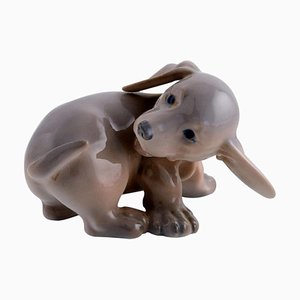 Porcelain Dachshund Puppy from Royal Copenhagen, 1920s