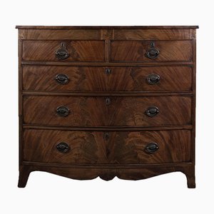 George III Bow Fronted Flame Chest