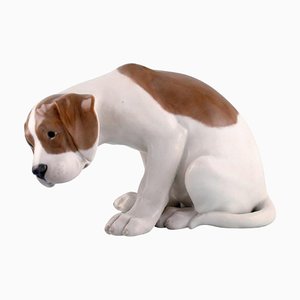 Perrito Labrador de porcelana de Royal Copenhagen, años 20