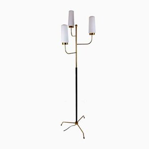 Vintage Floor Lamp with 3 Opaline Glasses, 1960s