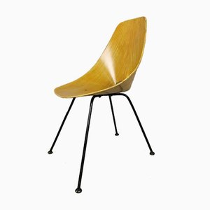Oak Plywood Medea Chair by Vittorio Nobili for Fratelli Tagliabue, 1950s