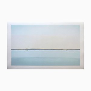 Alex Katz, Paisaje, Serigrafía a 26 colores, 2017