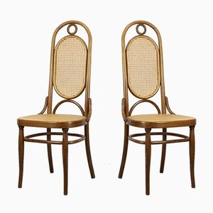 207R Esszimmerstühle von Thonet, 1970er, 2er Set