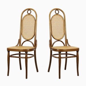 Set of 207R Dining Chairs from Thonet, 1970s