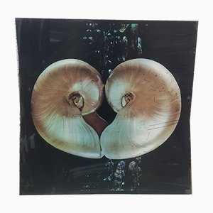 Impresión vintage sobre la placa, el Nautilus