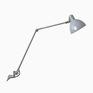 Light Gray Clamp Lamp from b.a.g. Turgi, 1930s