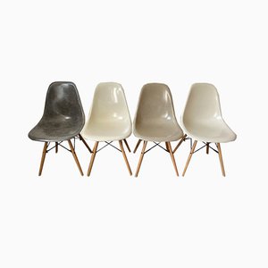 Mid-Century DSW Light Gray Fiberglass & Oak Dining Chairs by Charles & Ray Eames for Herman Miller, Set of 4
