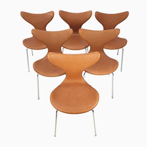 Lily Swivel Chairs by Arne Jacobsen for Fritz Hansen, 1960s, Set of 2