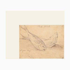 Jan Peter Verdussen - the Fish - Lápiz original sobre papel - 1775 Ca.