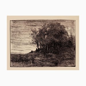 Jean-Baptiste-Camille Corot, Landscape, Etching on Paper, siglo XIX