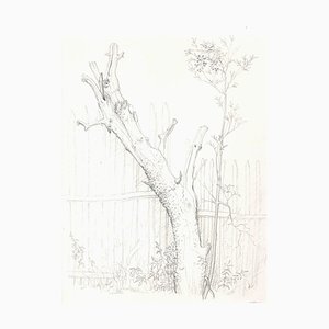 Andrew Roland Brudieux - Saint Moreil Tree - Pencil Drawing - 1960s