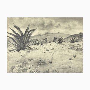 Inconnu - Landscape with Agave - Dessin Original par Robert Block - 1970s