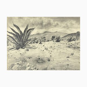 Unknown - Landscape with Agave - Original Zeichnung von Robert Block - 1970s