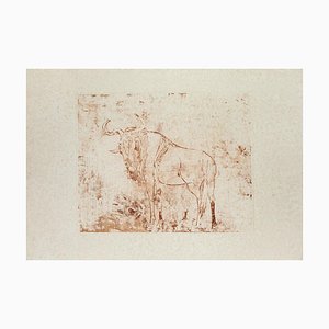 Aldo Pagliacci - Buffalo - Etching on Paper - 1971