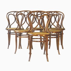 Antike Engelholz Esszimmerstühle aus Bugholz von Fischel, 6er Set