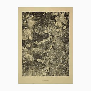 Lithographie Jean Dubuffet - Disparate - Original 1959