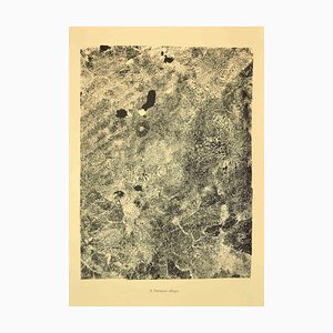Jean Dubuffet - Fletrissure Allegre - Litografía original - 1959