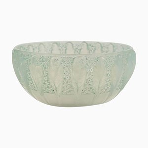 Opalescent Perruches Bowl