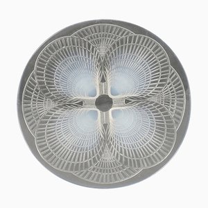 Opalescent Coquilles Pattern Plates by René Lalique, Set of 11