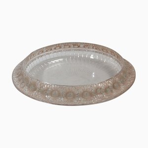 Marguerites Bowl by René Lalique