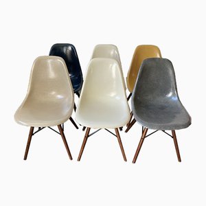 Mid-Century Gray, Navy Blue & Walnut DSW Dining Chairs by Charles & Ray Eames for Herman Miller, Set of 6