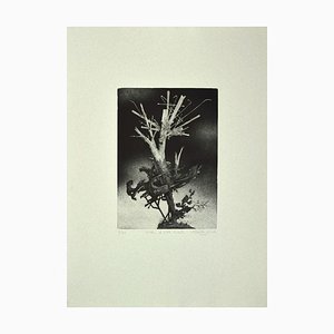 Leone Guida, The Tree, Etching, 1970s