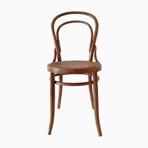 Antique Bentwood No. 14 Chair by August Türpe, Dresden