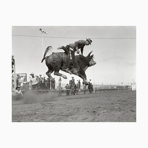 Rodeo Druck mit silbernem Gelatine Muster, 1950er Jahre