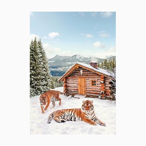 Imprimé Snowprint Tigers, Oversize Signed Limited Edition, 2020