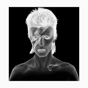 David Bowie Aladdin Sane, negato negro bianco e nero, edizione limitata, 2010