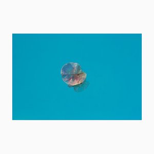Impresión de archivo de acuario Istan Petal Oversize enmarcada en blanco, 2020