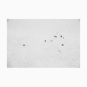 Incidental Sculpture I Signed Limited Edition Oversize Print, 2019