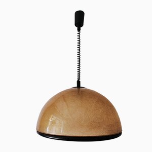 Vintage Fiberglas Dome Deckenlampe von Studio Tecno Design für Luci Italia