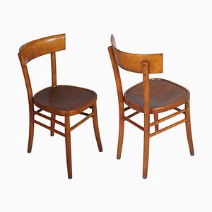 Mid-Century Dining Chairs from ISA Bergamo, 1950s, Set of 6