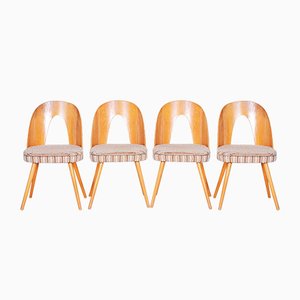 Czech Brown & Beige Ash Chairs by Antonín Šuman, 1950s, Set of 4
