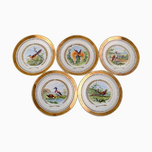 Large Dinner / Decoration Plates with Birds from Royal Copenhagen, Set of 5