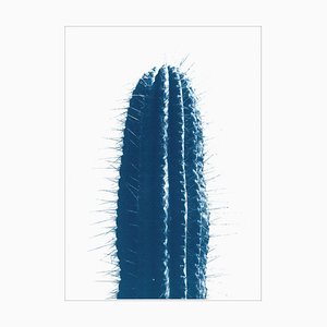 Cactus desierto vertical en azul, impresión cyanotype extragrande en tonos fríos, 2021