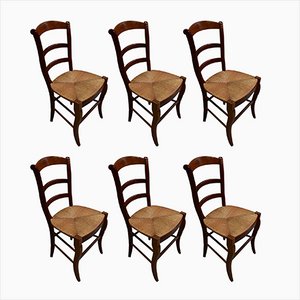 20th Century Chairs in Cherry, 1950s, Set of 6