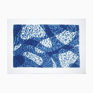 Reflejo de agua de pez bajo el agua, Pool Monotype, cianotipo en tonos azules, 2021