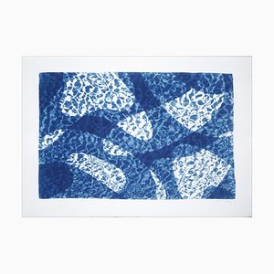 Réflexion d'Eau de Poisson Sous L'Eau, Monotype Pool, Bleu Cyanotype, 2021