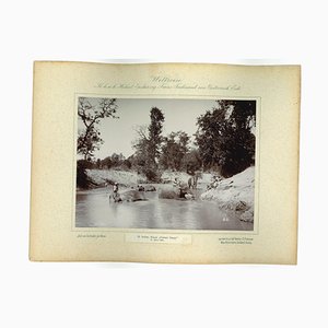 Nepal, Cattani Camp, Original Vintage Photo, 1893