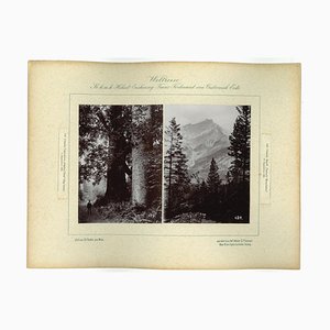 Desconocido, Canada, Cascada Mountains, Photo, 1893 de Prince