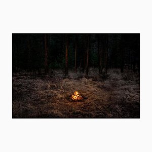 Fires 1, Ellie Davies, Fotografia contemporanea, 2018-2019