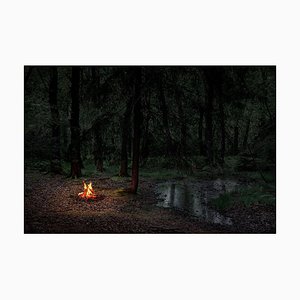 Fires 2, Ellie Davies, Fotografie, 2018