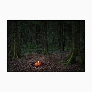 Fires 5, Ellie Davies, Britisch, Fotografie, 2018