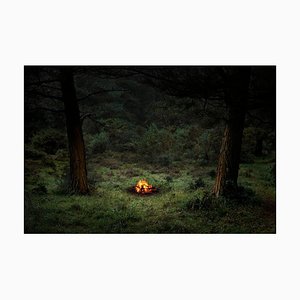 Fires 4, Ellie Davies, Contemporary Photography, Forest Imagery, 2018